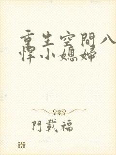 重生空间八零彪悍小媳妇