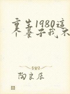 重生1980这个养子我不当了短剧