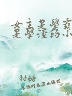 女主是学霸男主是学渣的小说