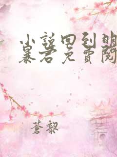 小说回到明朝当暴君免费阅读