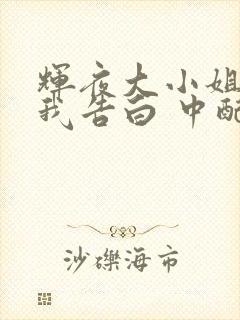 辉夜大小姐想让我告白 中配