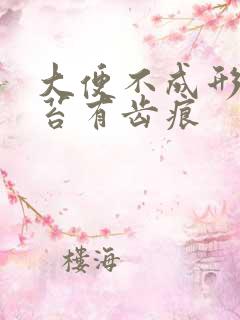 大便不成形 舌苔有齿痕