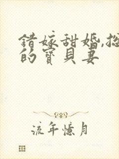 错嫁甜婚,总裁的宝贝妻