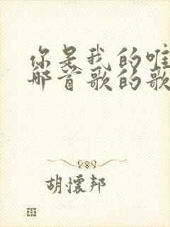 你是我的唯一是哪首歌的歌词