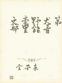 文豪野犬第二季哪里能看