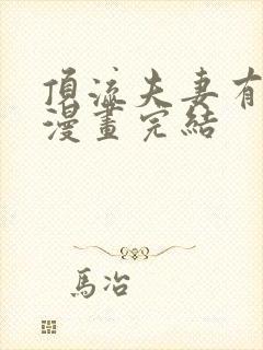 顶流夫妻有点甜漫画完结