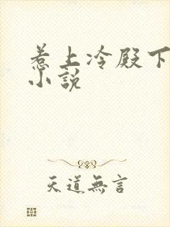 惹上冷殿下原著小说