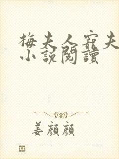 梅夫人宠夫日常小说阅读