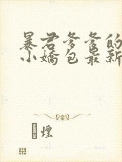 暴君爹爹的团宠小娇包最新章节免费阅读