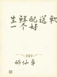 生鲜配送软件哪一个好