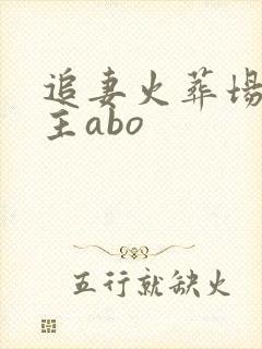 追妻火葬场双男主abo