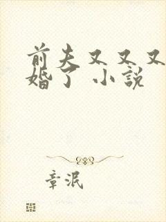 前夫又又又想复婚了 小说
