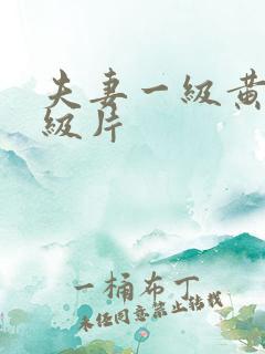 夫妻一级黄色一级片