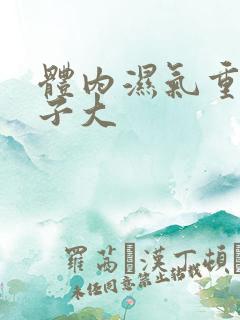 体内湿气重 肚子大