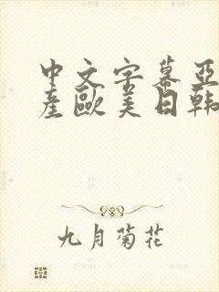 中文字幕亚洲国产欧美日韩