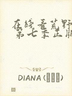 在线看荒野独居 第七季正版