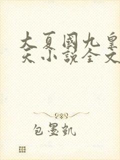 大夏国九皇子夏天小说全文免费阅读