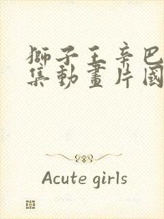 狮子王辛巴52集动画片国语下载