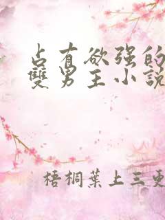 占有欲强的病娇双男主小说