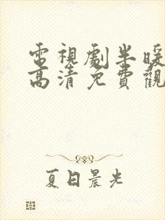 电视剧半暖时光高清免费观看