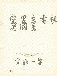 双男主电视剧推荐国产