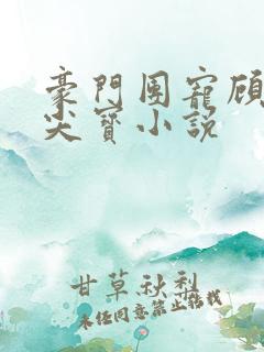 豪门团宠顾少心尖宝小说