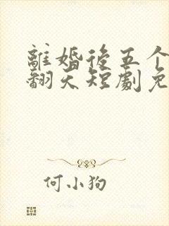 离婚后五个弟宠翻天短剧免费观看