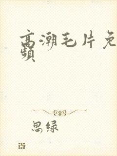 高潮毛片免费视频