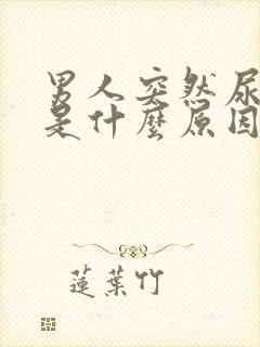 男人突然尿血尿是什么原因