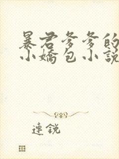 暴君爹爹的团宠小娇包小说全文阅读