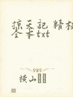 掠天记 精校版全本txt