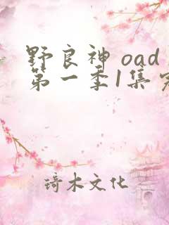 野良神 oad第一季1集完整