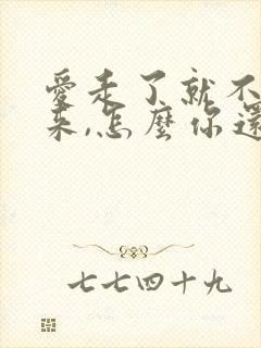 爱走了就不再回来,怎么你还不明白