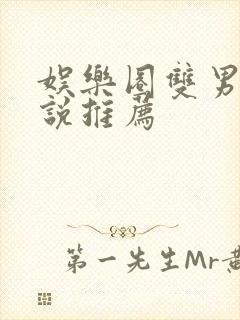 娱乐圈双男主小说推荐