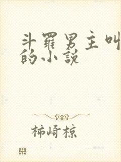 斗罗男主叫唐川的小说