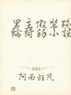 男主假装残疾坐轮椅的小说