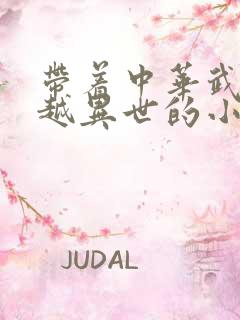 带着中华武学穿越异世的小说