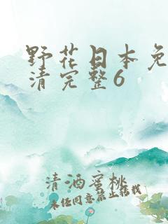 野花日本免费高清完整6