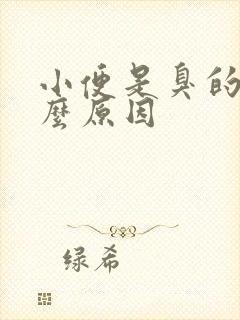 小便是臭的是什么原因