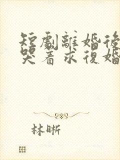 短剧离婚后前夫哭着求复婚完整版