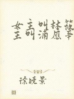 女主叫林筱帆男主叫浦应辛的小说