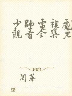 少帅电视剧在线观看全集免费播放