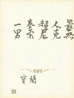 一拳超人最强之男索尼克无双