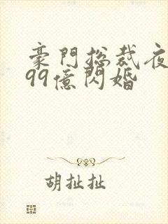 豪门总裁夜夜忙99亿闪婚