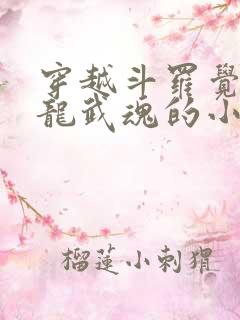 穿越斗罗觉醒黑龙武魂的小说