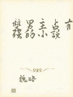 双男主占有欲很强的小说