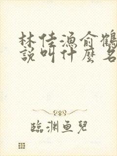 林佳渔俞鹤舟小说叫什么名字