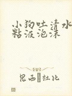 小狗吐清水带着粘液泡沫