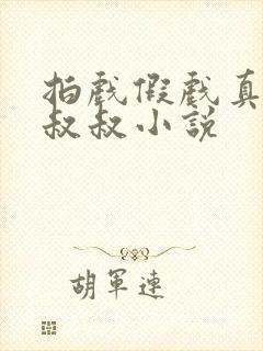 拍戏假戏真做小叔叔小说