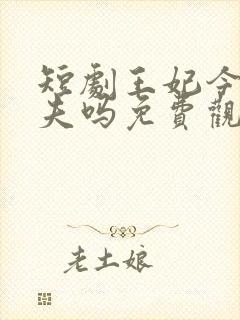 短剧王妃今天休夫吗免费观看